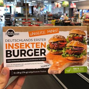 Insektenburger Bugfoundation